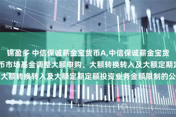 锦盈多 中信保诚薪金宝货币A,中信保诚薪金宝货币E: 中信保诚薪金宝货币市场基金调整大额申购、大额转换转入及大额定期定额投资业务金额限制的公告